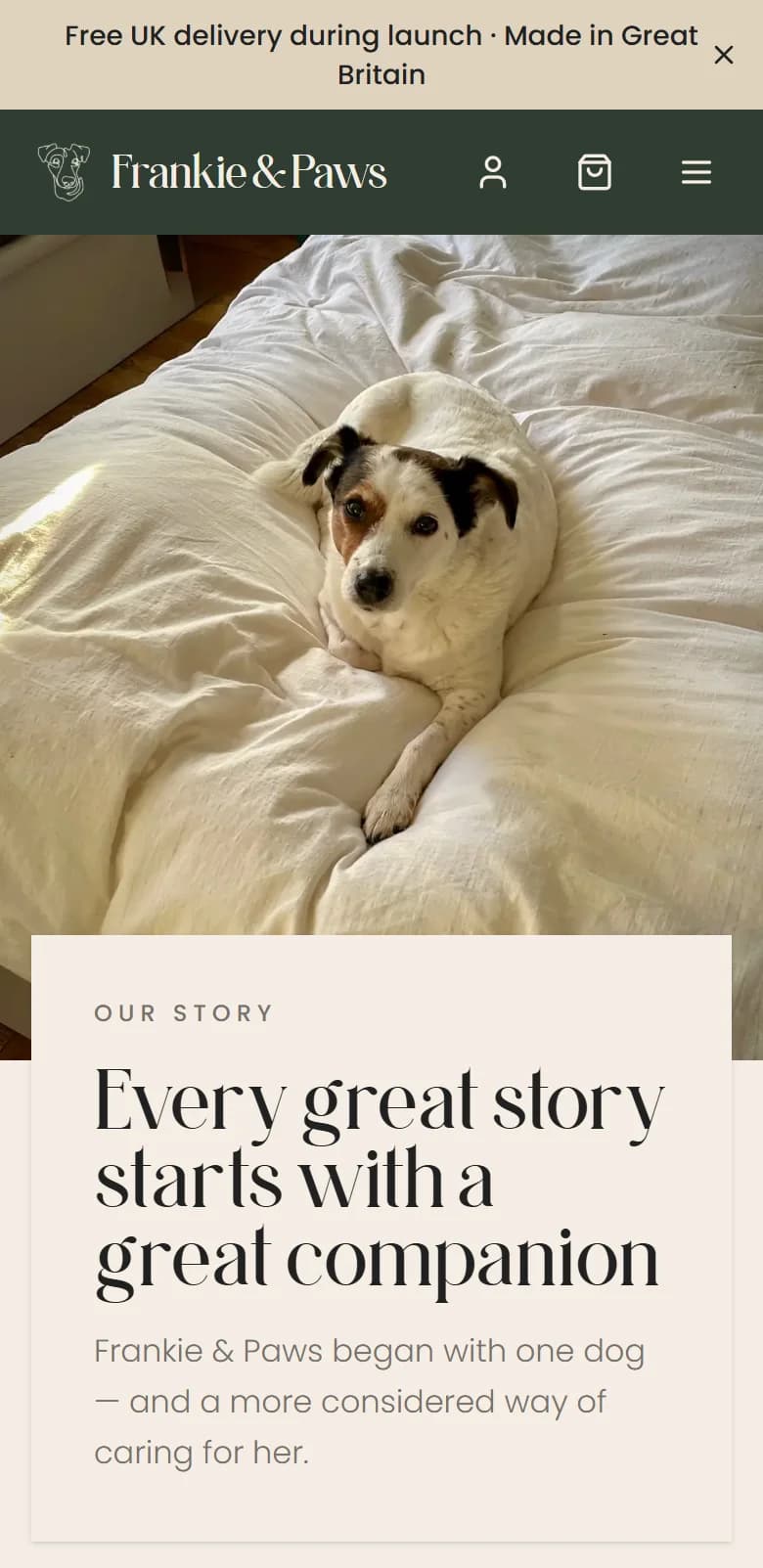 The Our Story page on a phone, opening with 'Every great story starts with a great companion'.